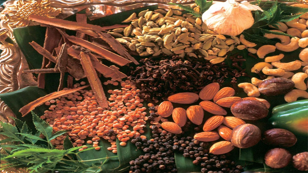 Spices & Sustenance
