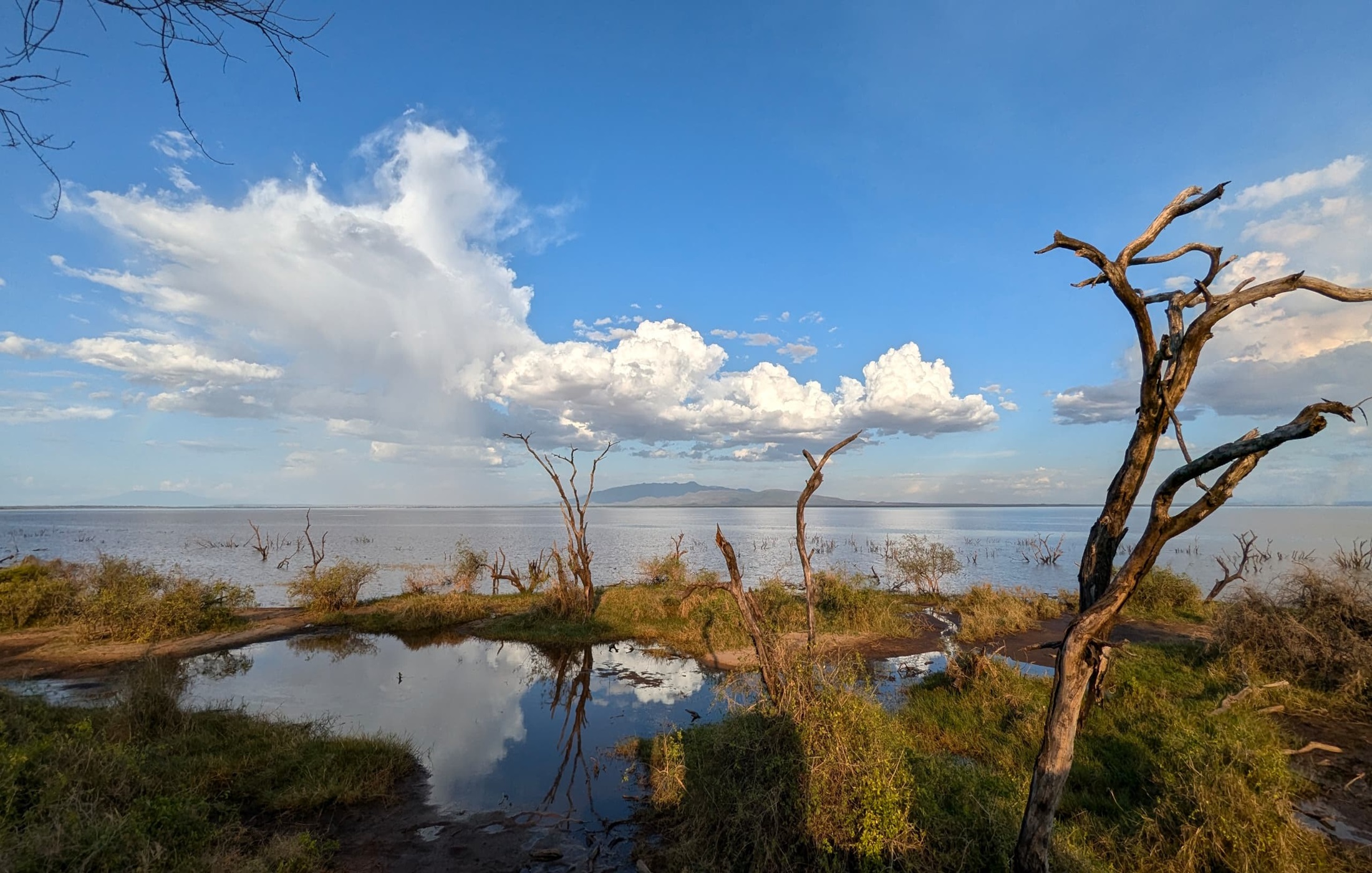 Lake Manyara National Park