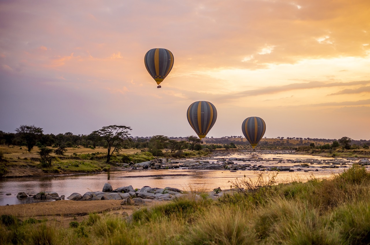 3-Day Luxury Fly-In Safari from Zanzibar to Mikumi National Park